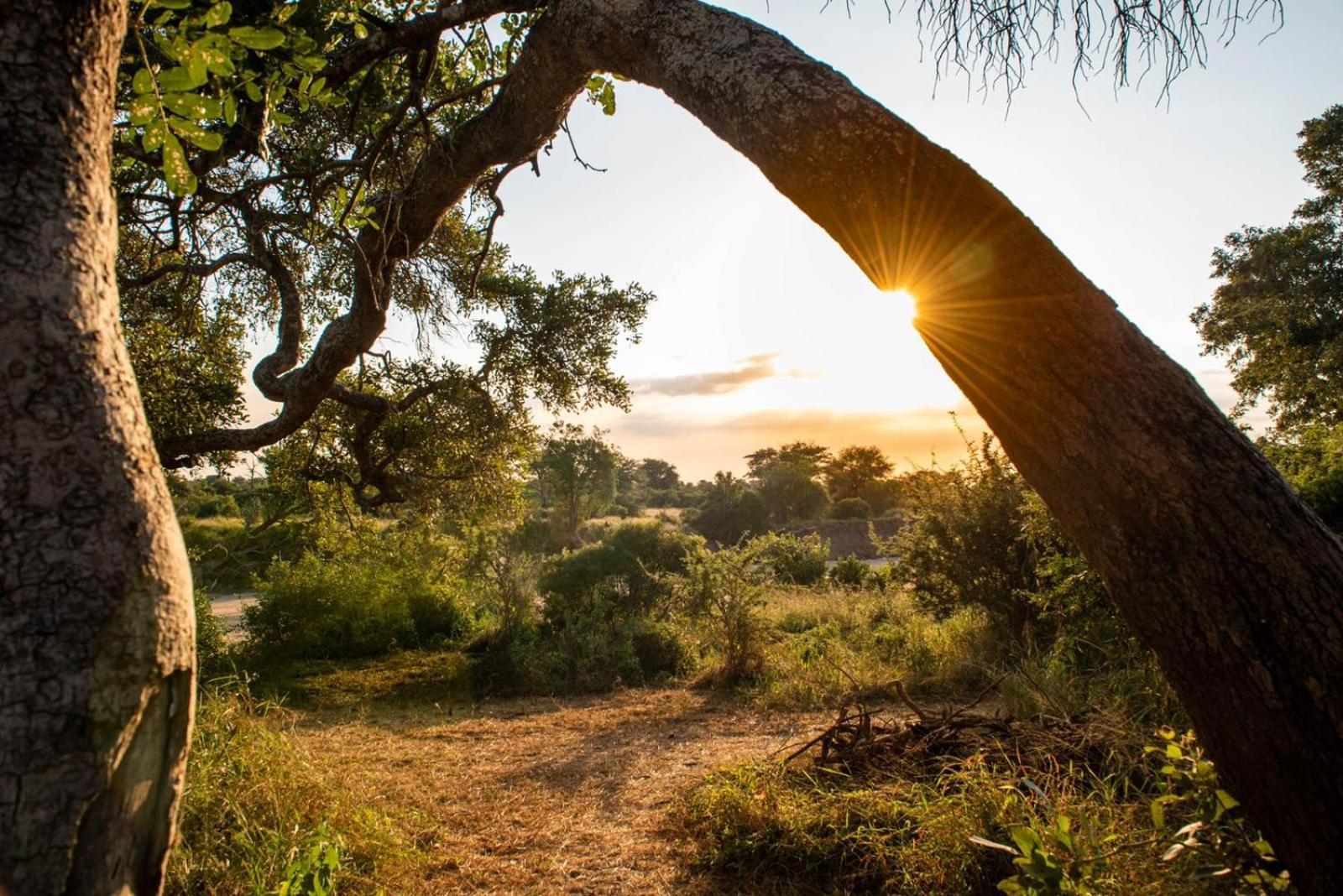 Kruger Untamed - Tshokwane River Camp